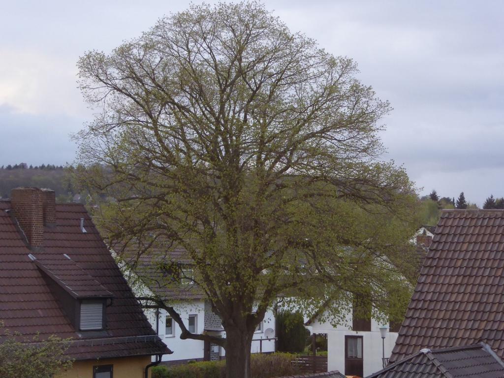 Ferienwohnung Max Kassel Exteriér fotografie